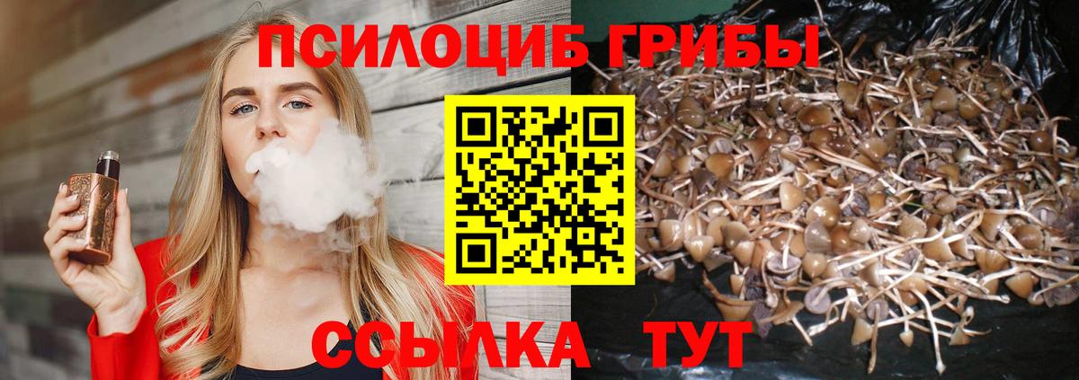 Псилоцибиновые грибы ЛСД Кострома