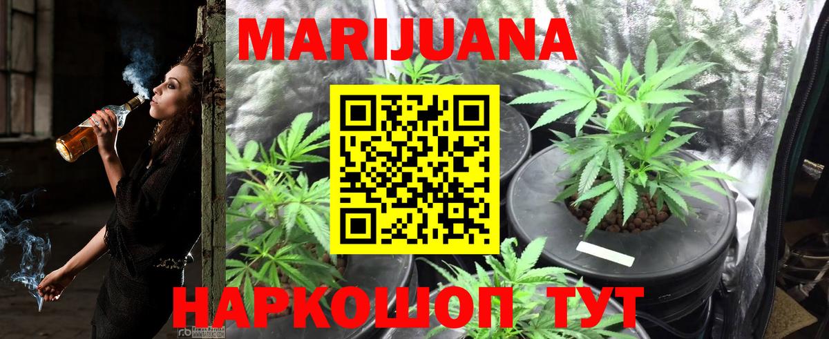 Бошки марихуана THC 21% Кострома